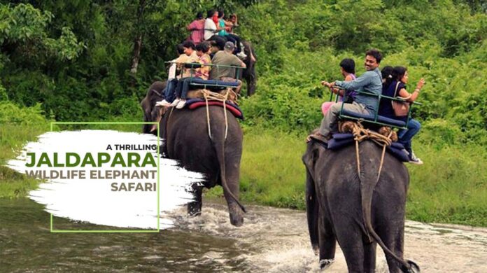 Jaldapara Tour